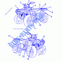 DECALS   A13FA09AA (49ATVDECALSS13SP90) for Polaris SPORTSMAN 90 2013