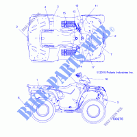 DECALS   A16SEA45A1/A5/SEE45A1  for Polaris SPORTSMAN 450 HO 2016