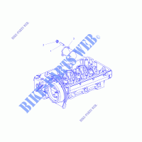 ENGINE, FUEL PUMP FITTING COVER   R16RTAD1A1/E1 (49RGRFUELCVR15DSL) for Polaris RANGER 1000 DIESEL 2016