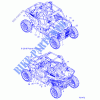 DECALS   Z17VDE92NG/NM/NK (701472) for Polaris RZR XP TURBO MD 2017