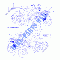 DECALS   A08CL50AA (49ATVDECALSS086X6) for Polaris SPORTSMAN 6X6 2008