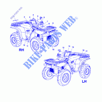 DECALS   A01CH50AA (4964466446A009) for Polaris SPORTSMAN 500 DUSE HO 2001