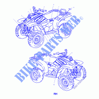 DECALS   A01AA32AA (4963816381A006) for Polaris TRAIL BOSS 2001