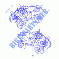 DECALS   A01AA32AA (4963816381A006) for Polaris TRAIL BOSS 2001