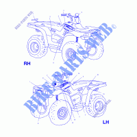 DECALS   A01CK42AA (4964136413A008) for Polaris XPEDITION 425 2001