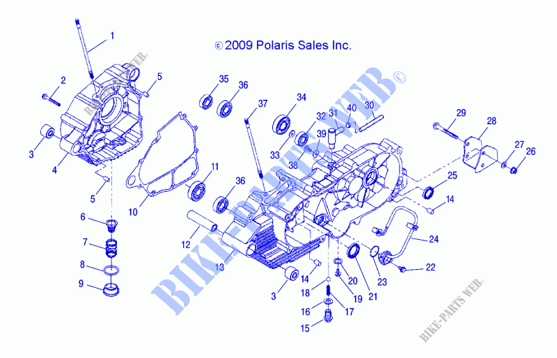 ENGINE, CRANKCASE   A21YAP20A4/N4/CA4 (49ATVCRANKCASE10PHX) for Polaris PHOENIX 200 2021