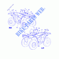 DECALS   A00CH50AA (4954805480A011) for Polaris SPORTSMAN 500 2000