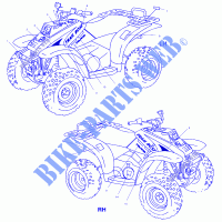 DECALS   A00AA32AB (4960076007A008) for Polaris TRAIL BOSS 2000