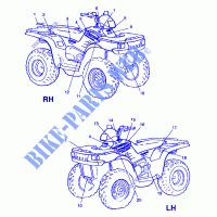 DECALS   A99CD50AA (4949254925A010) for Polaris MAGNUM 500 1999