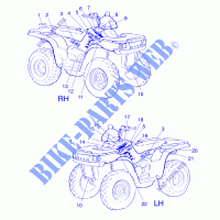DECALS   A99CH33AA (4949884988A010) for Polaris SPORTSMAN 335 1999