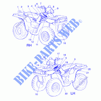 DECALS   A99CH33AA (4949884988A010) for Polaris SPORTSMAN 335 1999