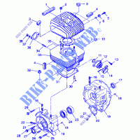 CRANKCASE AND CYLINDER   A99AA25CA (4949594959C007) for Polaris TRAIL BOSS 1999