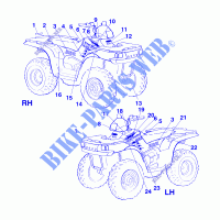 DECALS   A99CH50EA (4949114911A010) for Polaris WORKER 500 1999