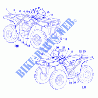 DECALS   A99CH50EB (4949114911A011) for Polaris WORKER 500 1999