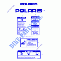 DECALS   D151M/2MPD1AJ MWR (49BRUTUSDECALSS6852) for Polaris BRUTUS 2015